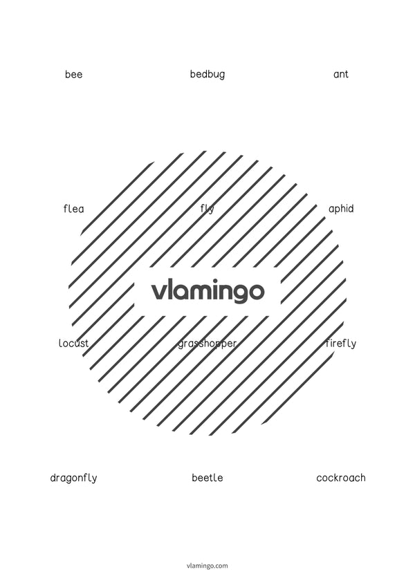 de englisch insects vocabulary cards 004