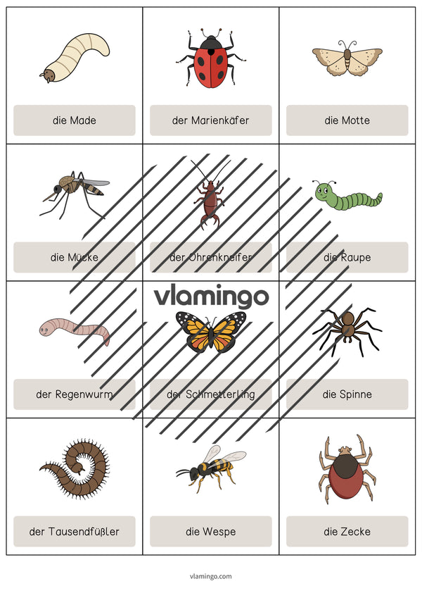 de englisch insects vocabulary cards 005