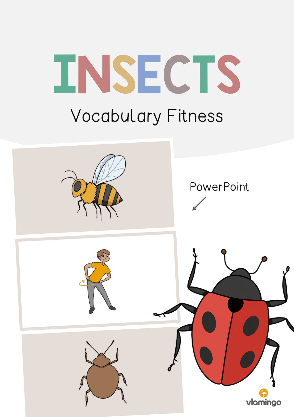 de englisch insects vocabulary fitness 001
