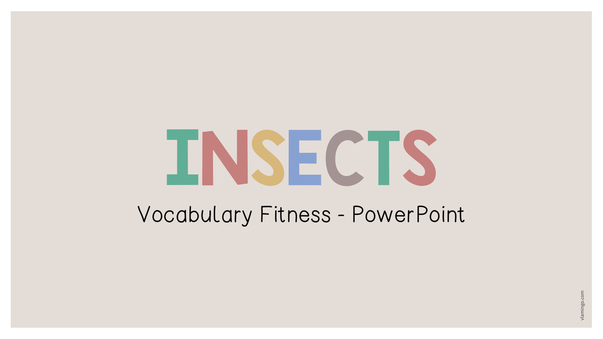 de englisch insects vocabulary fitness powerpoint 001