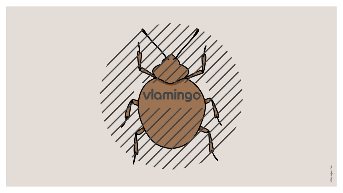 de englisch insects vocabulary fitness powerpoint 005