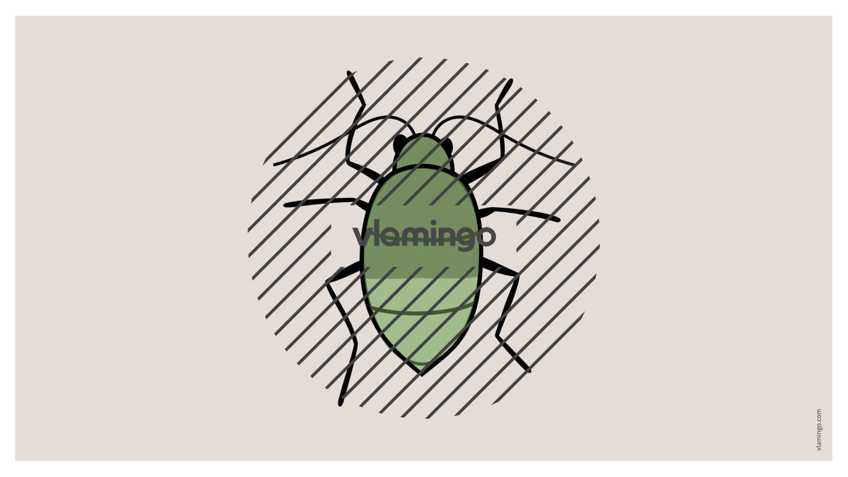 de englisch insects vocabulary fitness powerpoint 008