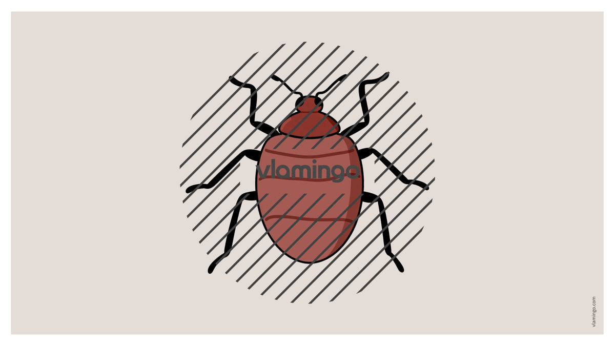 de englisch insects vocabulary fitness powerpoint 010