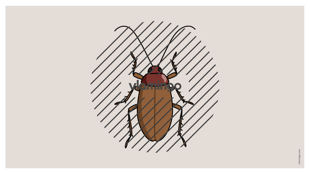 de englisch insects vocabulary fitness powerpoint 016