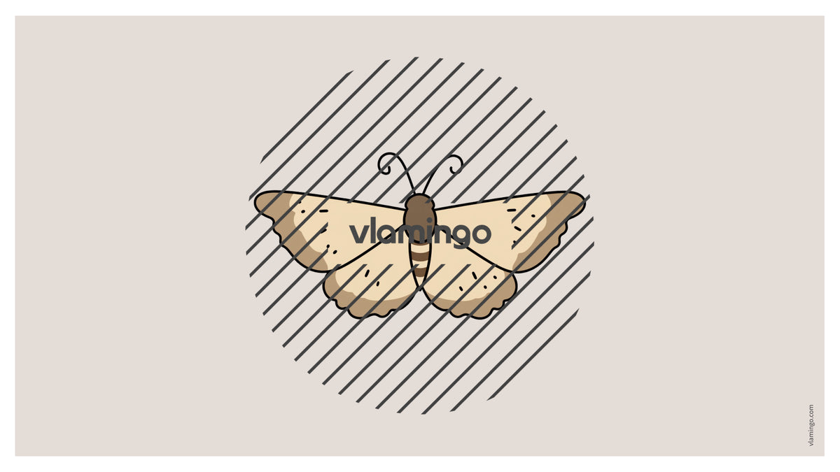 de englisch insects vocabulary fitness powerpoint 022