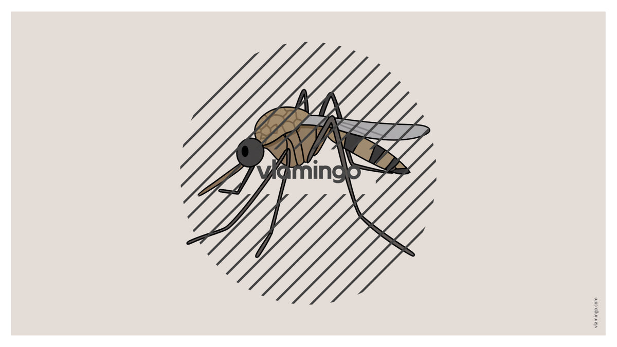 de englisch insects vocabulary fitness powerpoint 024