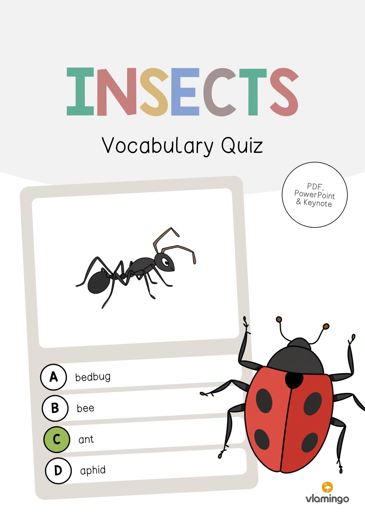 de englisch insects vocabulary quiz 001