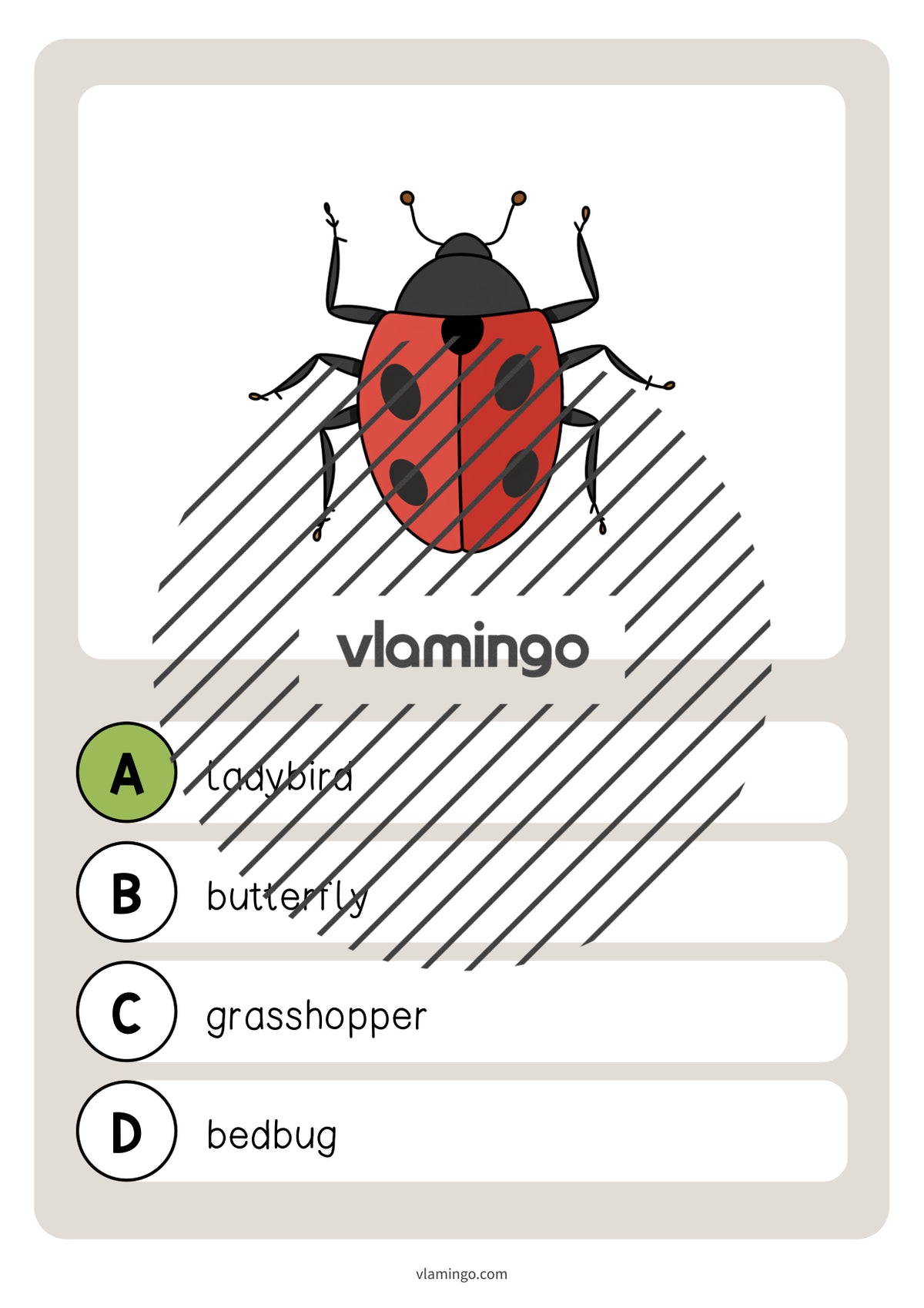 de englisch insects vocabulary quiz 032