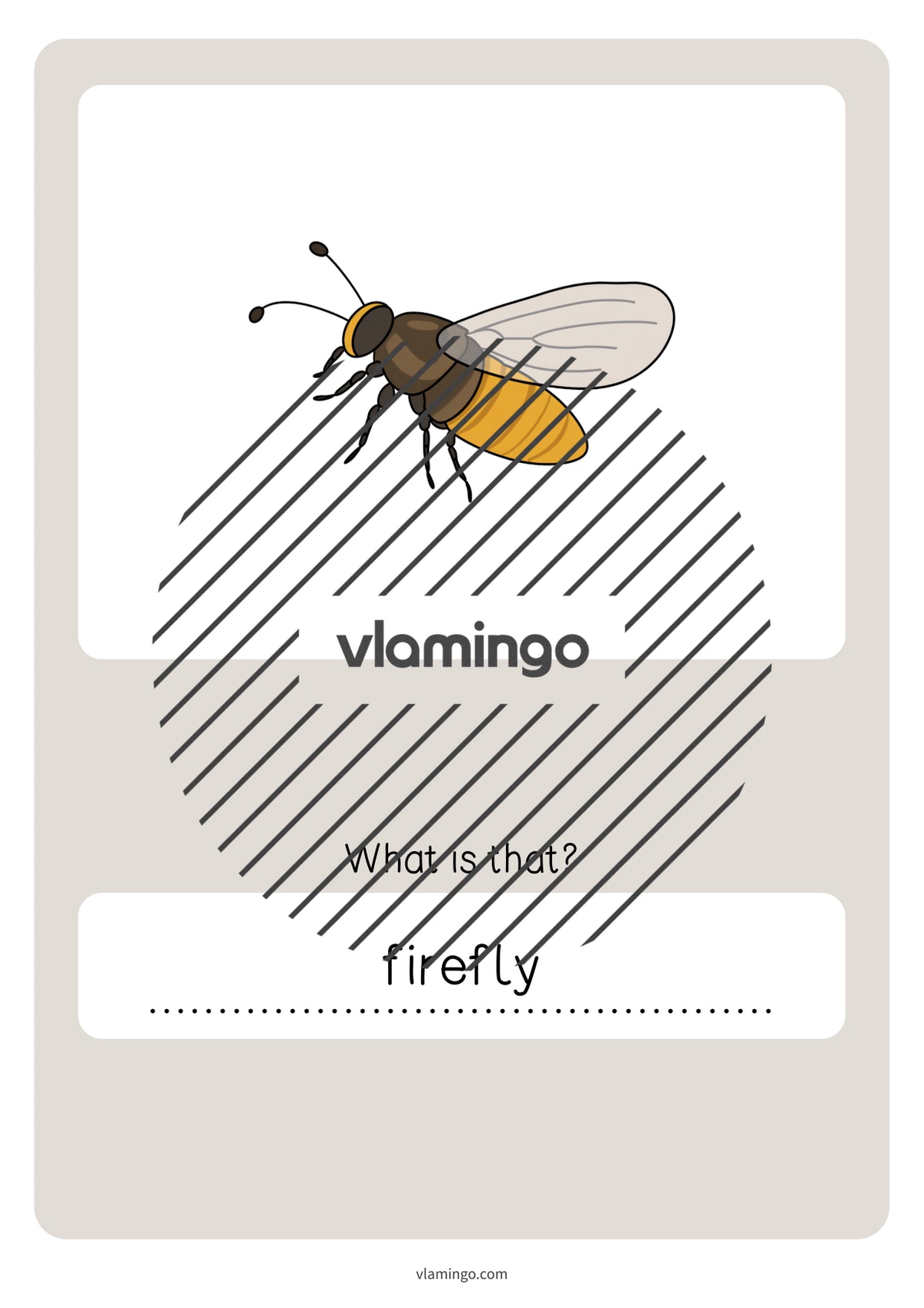 de englisch insects vocabulary quiz 059