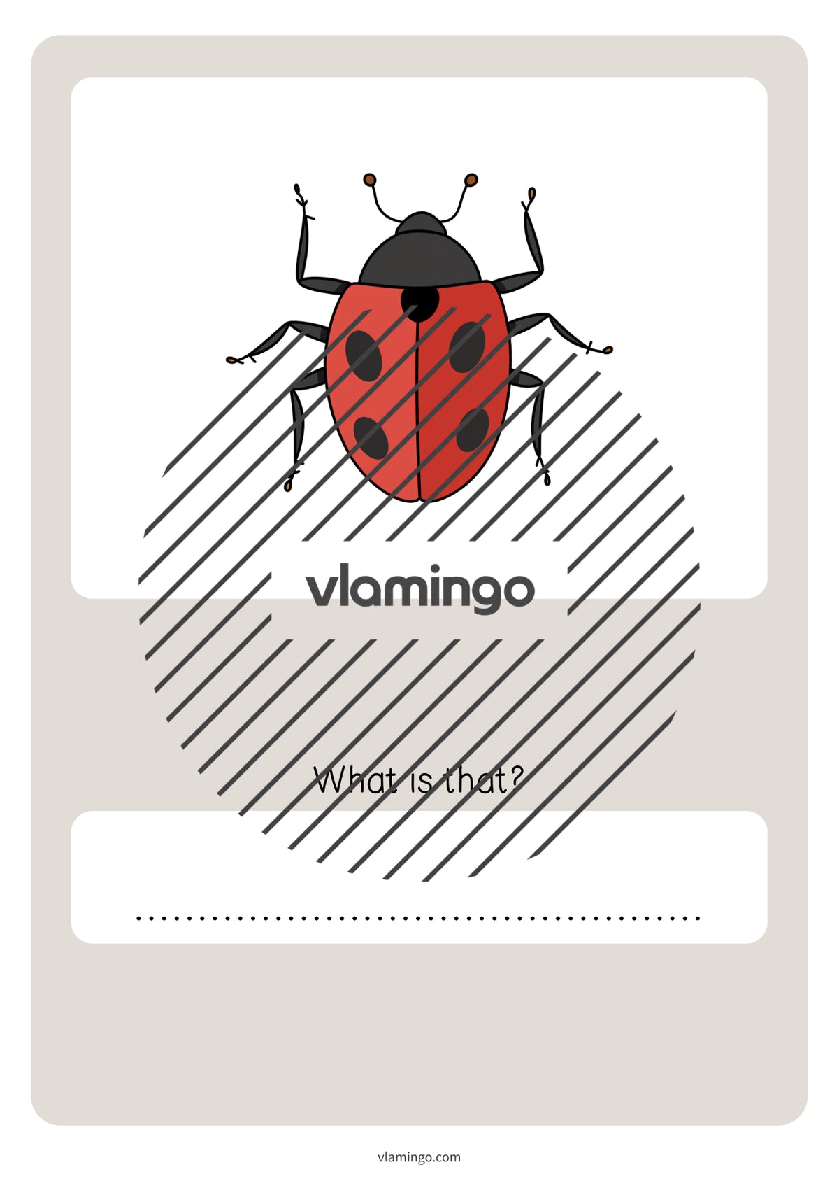 de englisch insects vocabulary quiz 072
