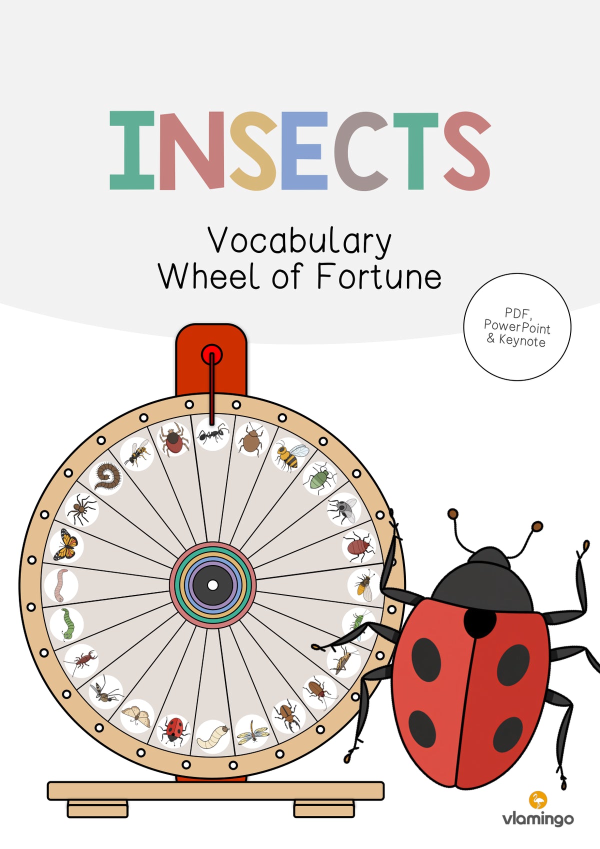 de englisch insects vocabulary wheel of fortune 001