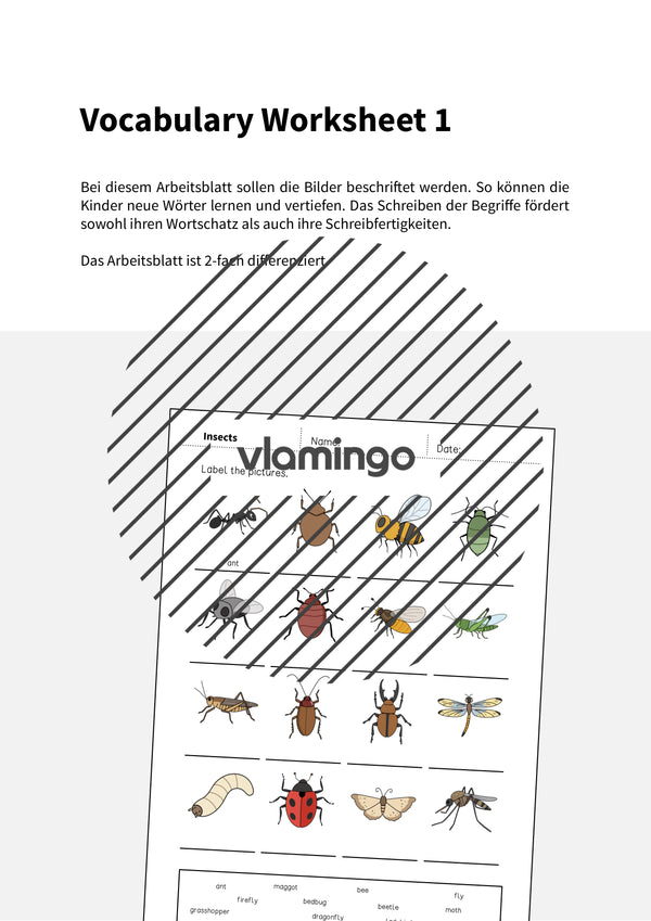 de englisch insects vocabulary worksheet 1 002