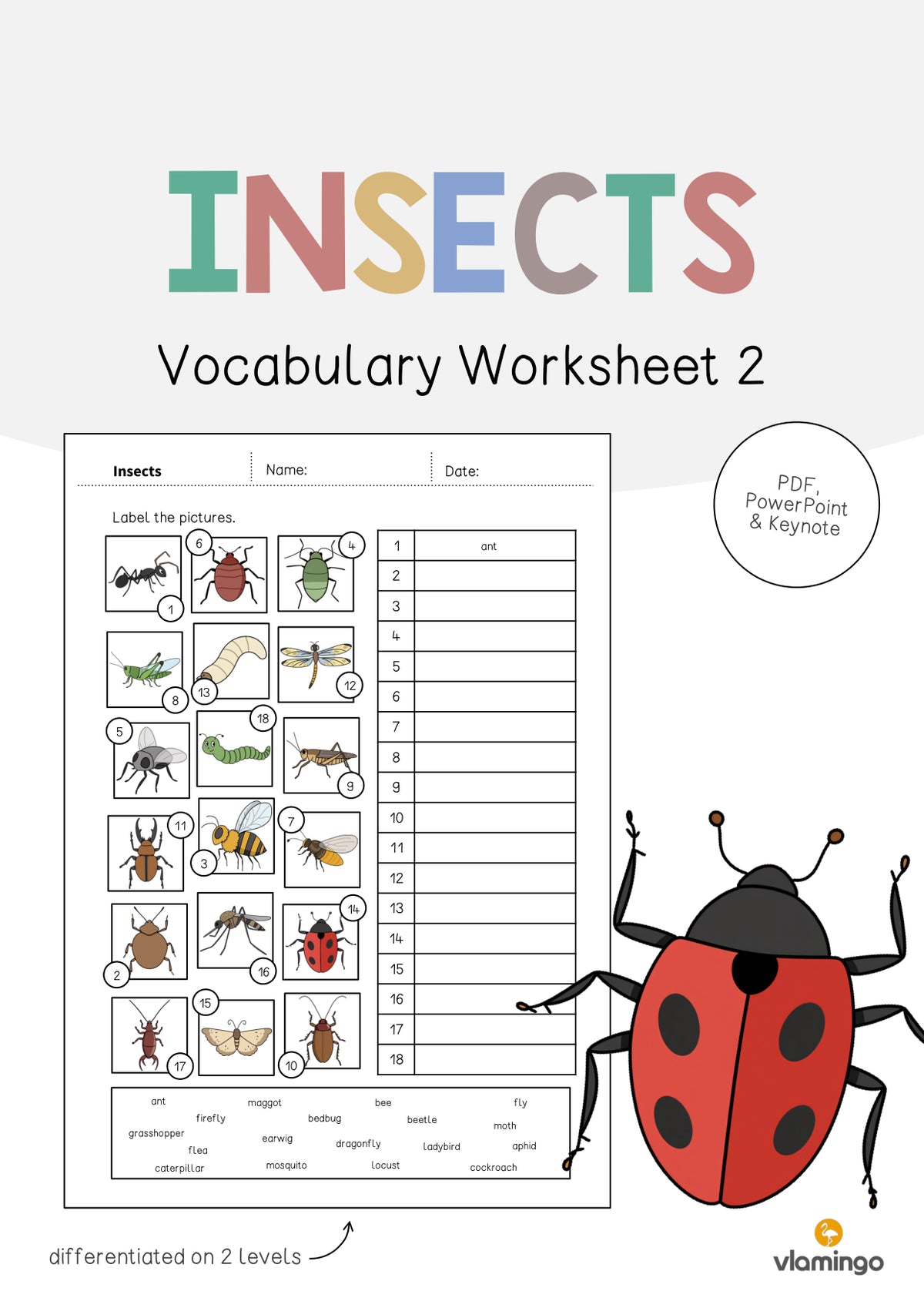 de englisch insects vocabulary worksheet 2 001