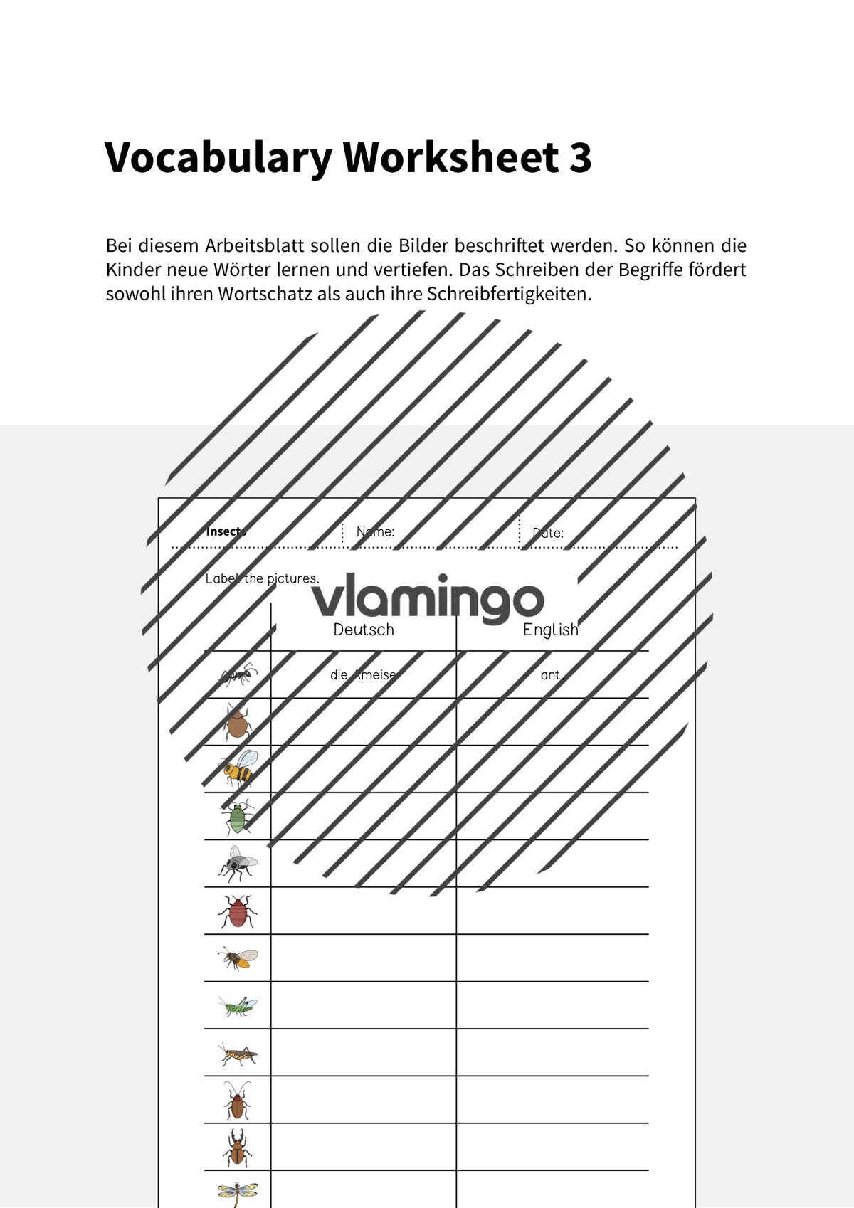 de englisch insects vocabulary worksheet 3 002