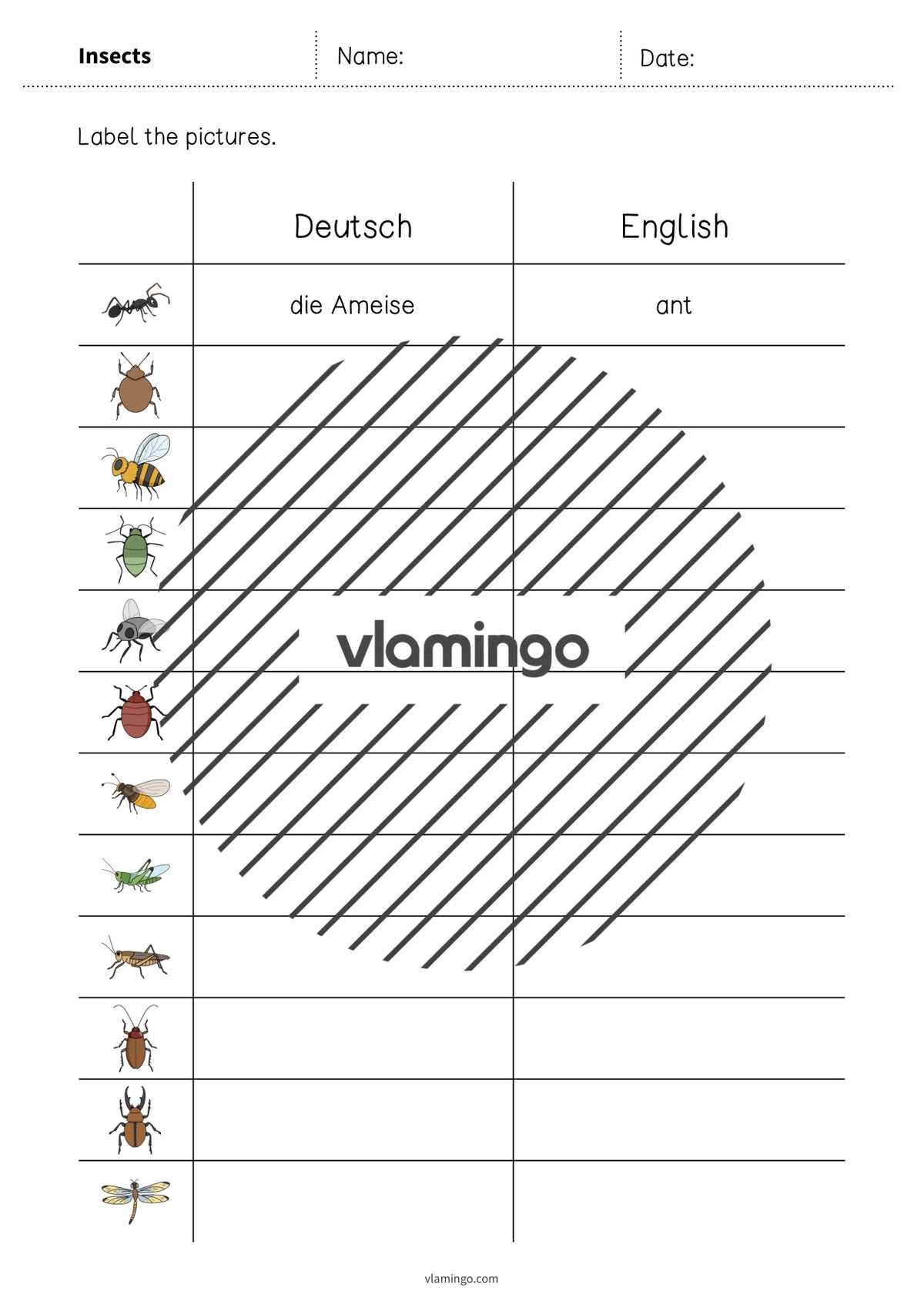 de englisch insects vocabulary worksheet 3 003