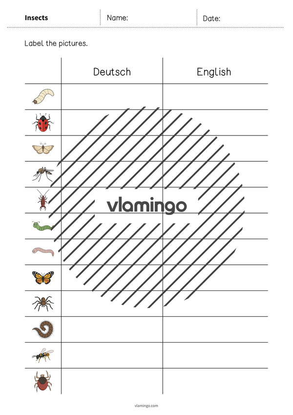 de englisch insects vocabulary worksheet 3 004