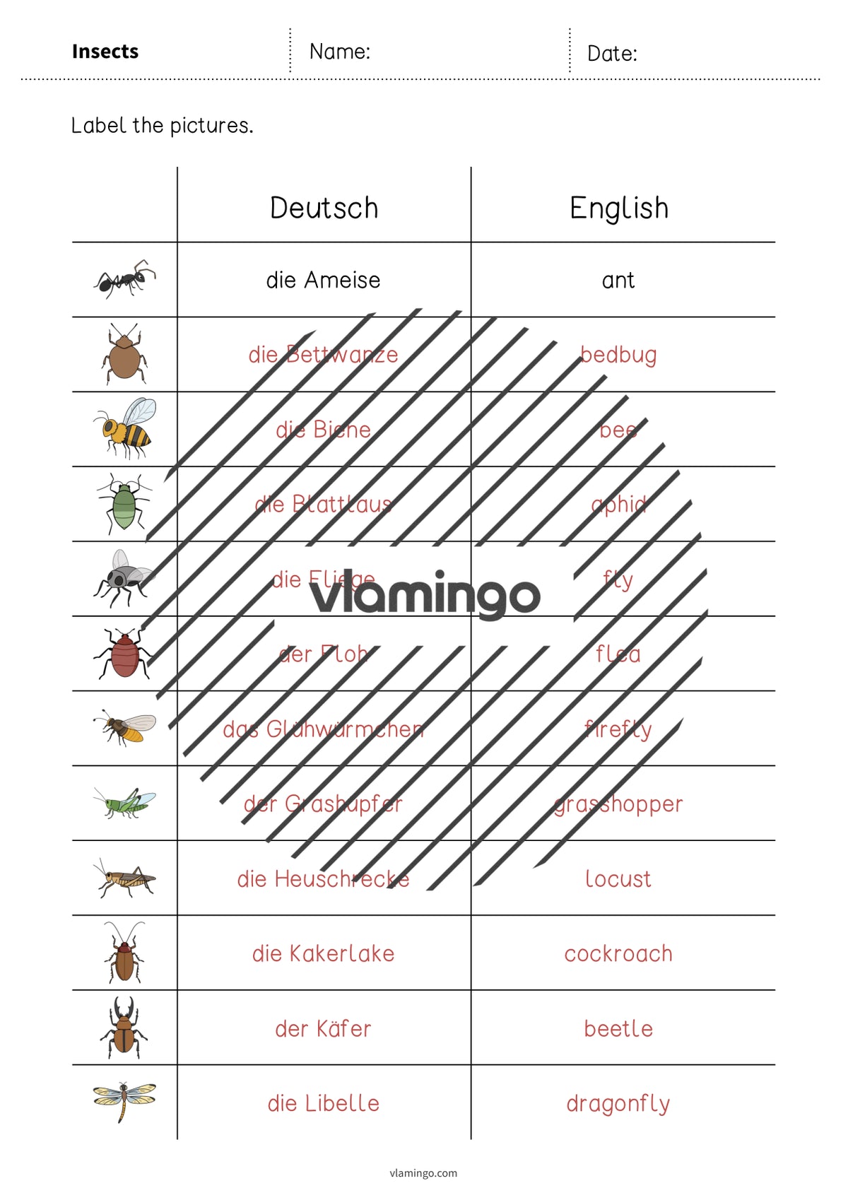 de englisch insects vocabulary worksheet 3 006
