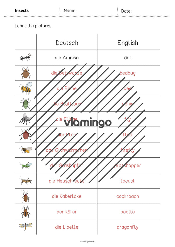 de englisch insects vocabulary worksheet 3 006