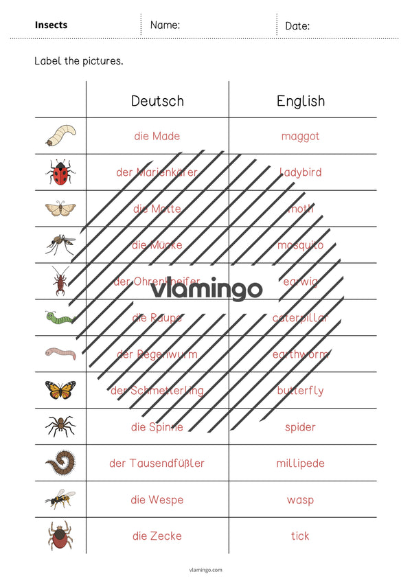 de englisch insects vocabulary worksheet 3 007