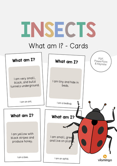 Insects / Insekten: What am I? - Cards (Englisch)