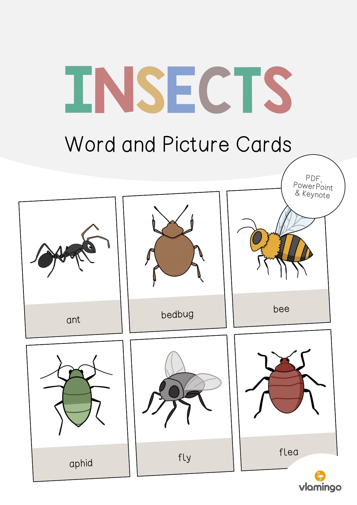 de englisch insects word and picture cards 001