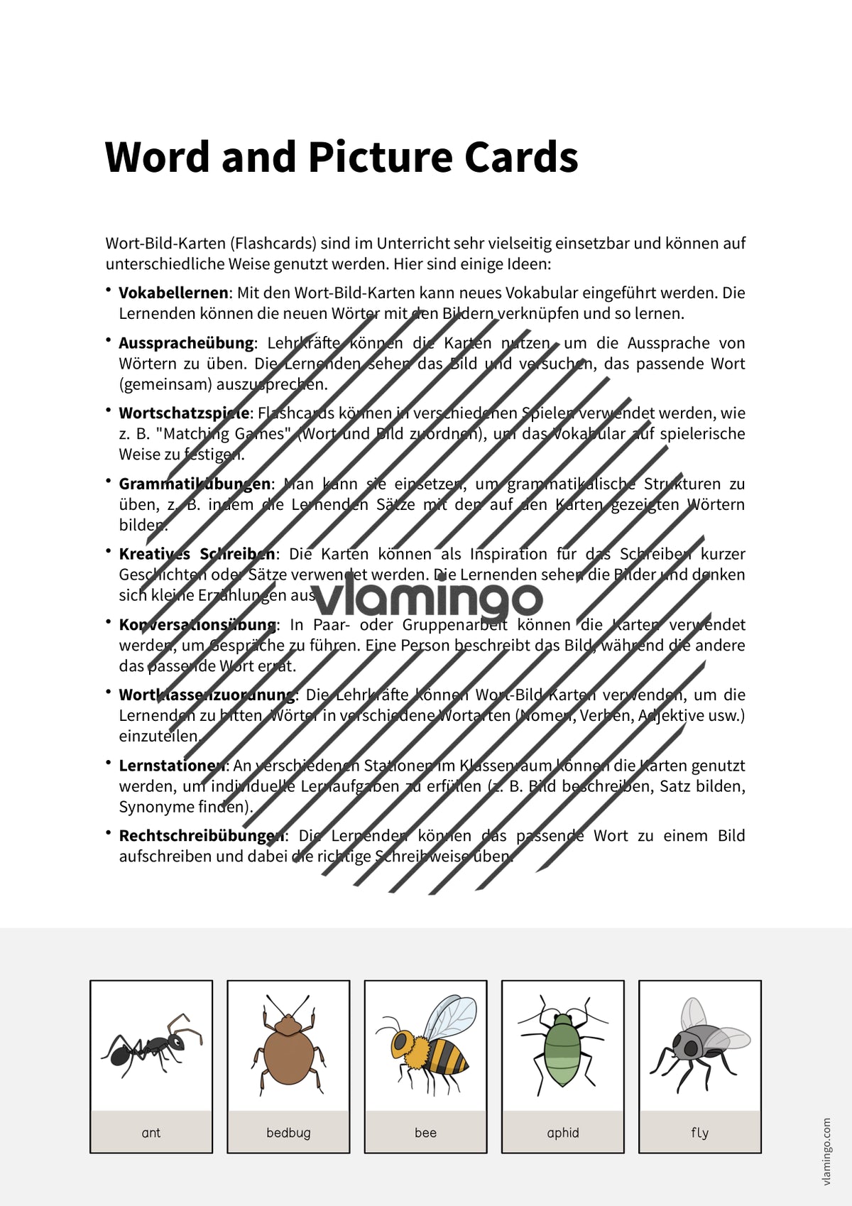 de englisch insects word and picture cards 002