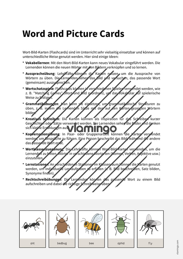 de englisch insects word and picture cards 002