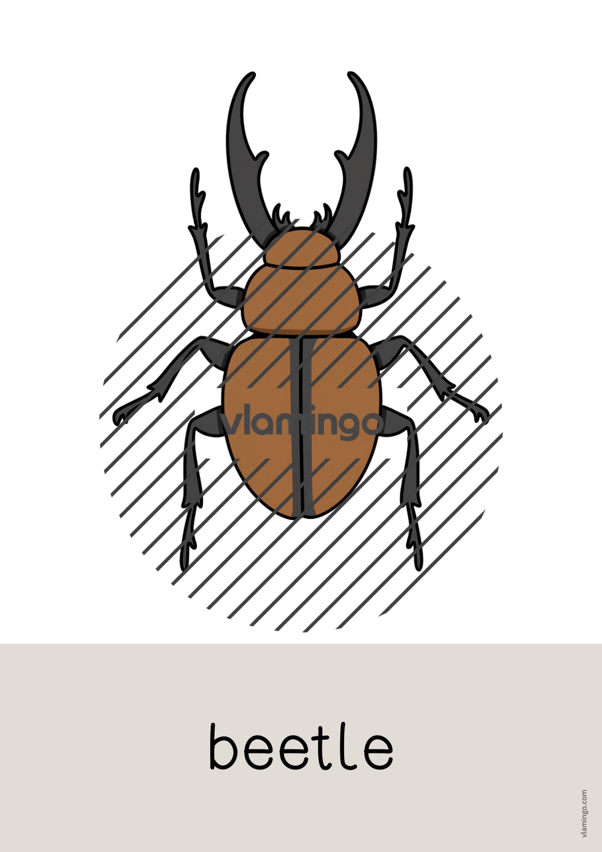 de englisch insects word and picture cards 013