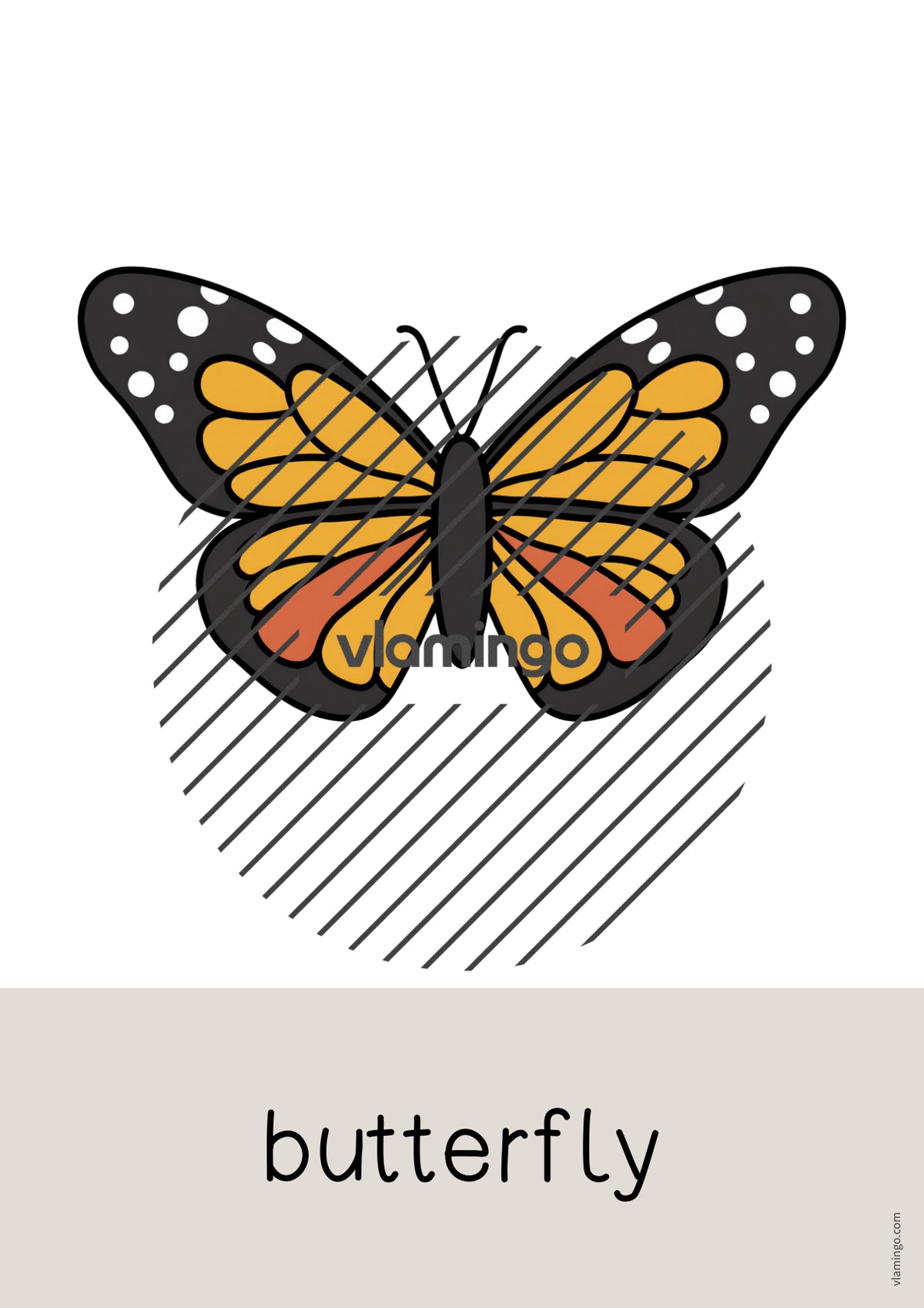 de englisch insects word and picture cards 022