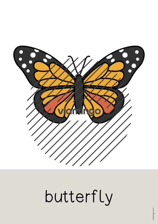 de englisch insects word and picture cards 022