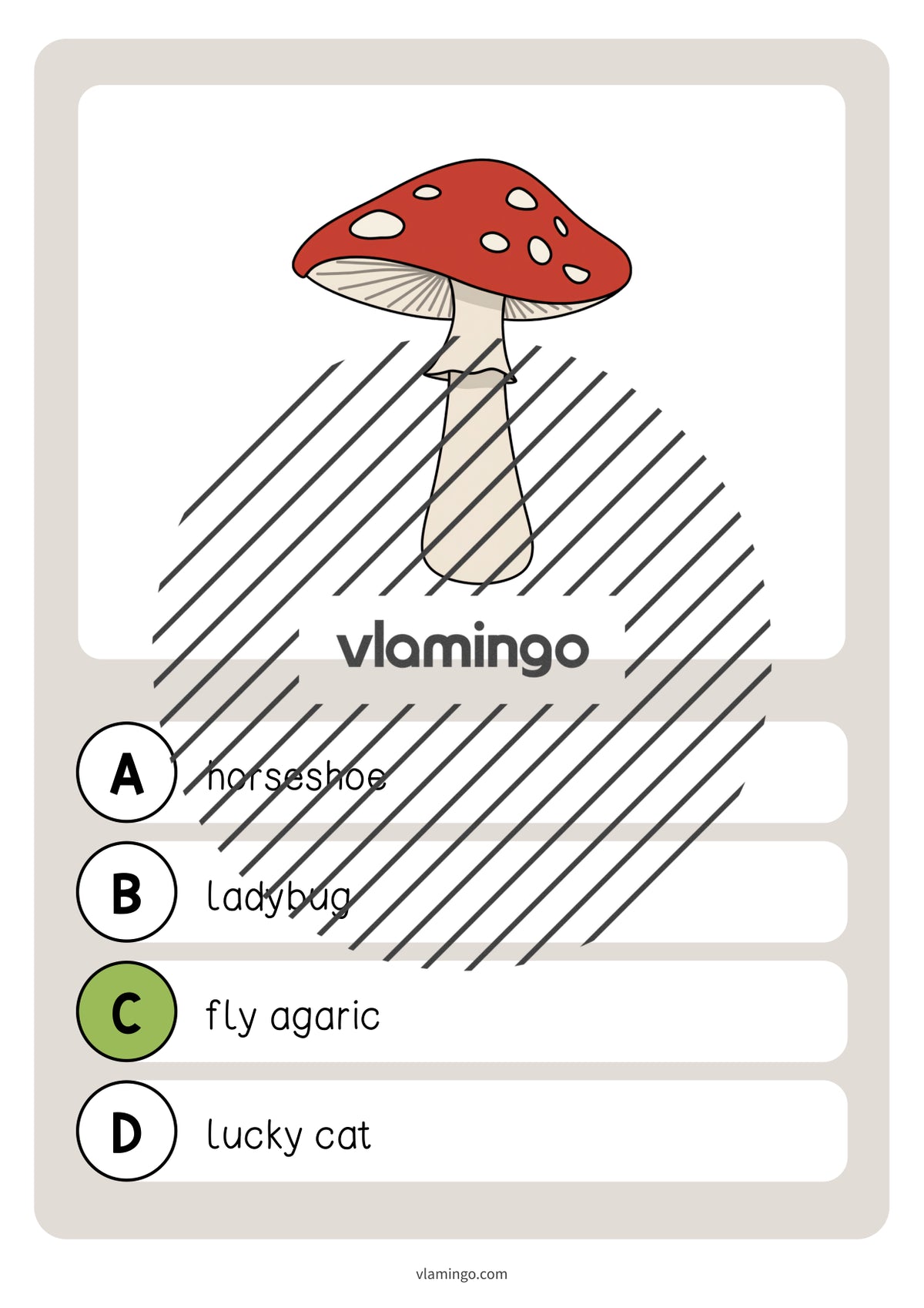 de englisch lucky symbols vocabulary quiz 018