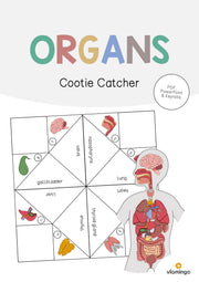 de englisch organs cootie catcher 001