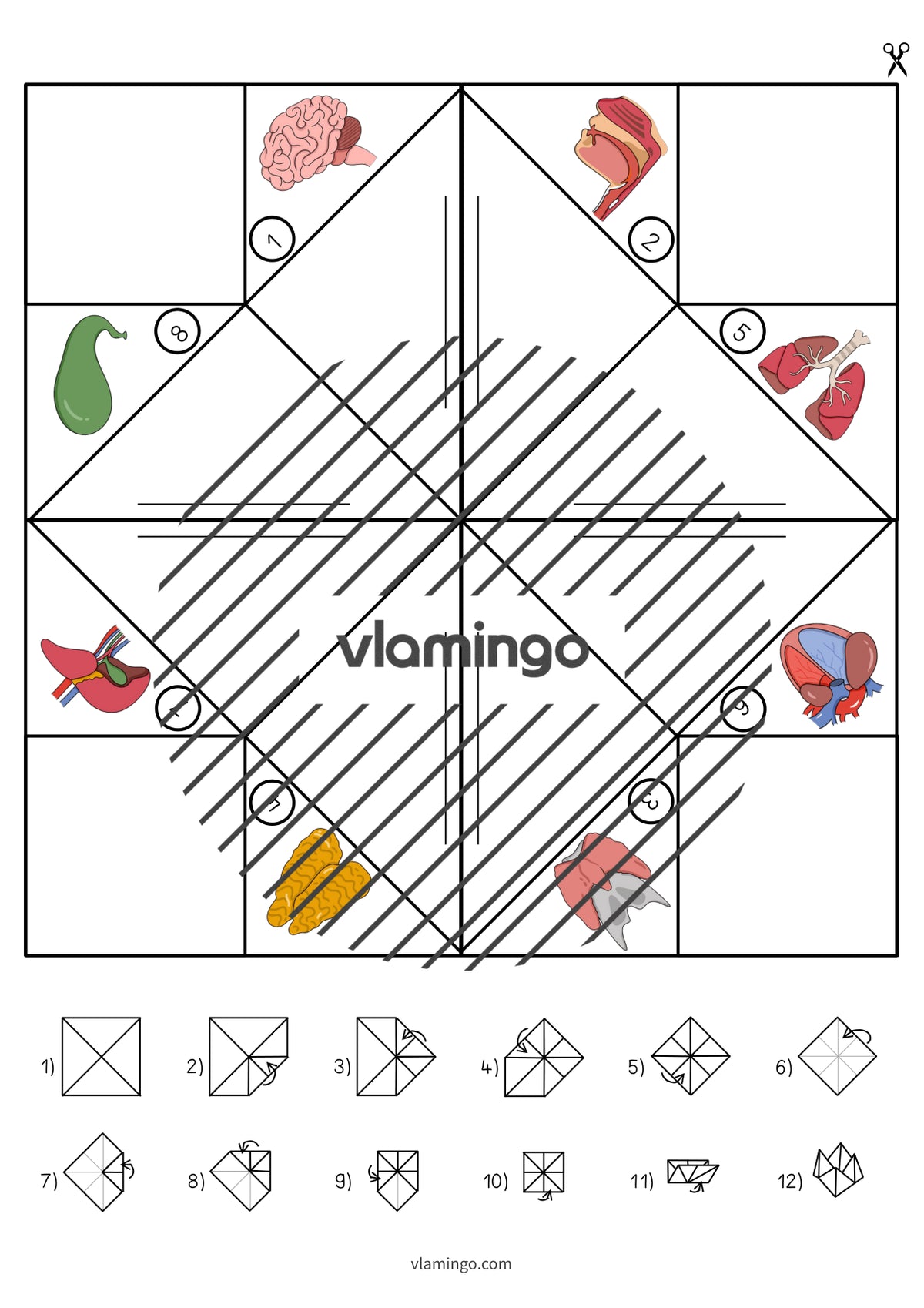 de englisch organs cootie catcher 008
