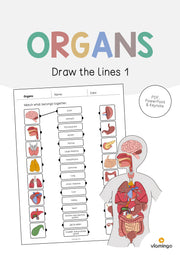 de englisch organs draw the lines 1 001