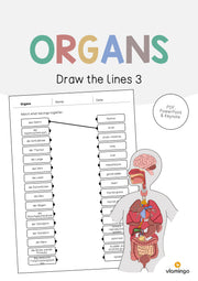 de englisch organs draw the lines 3 001