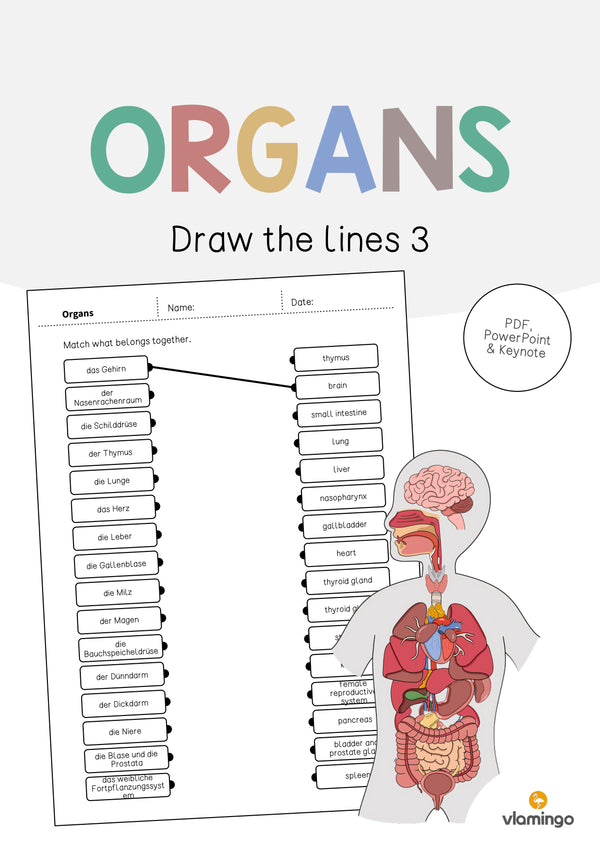 de englisch organs draw the lines 3 001