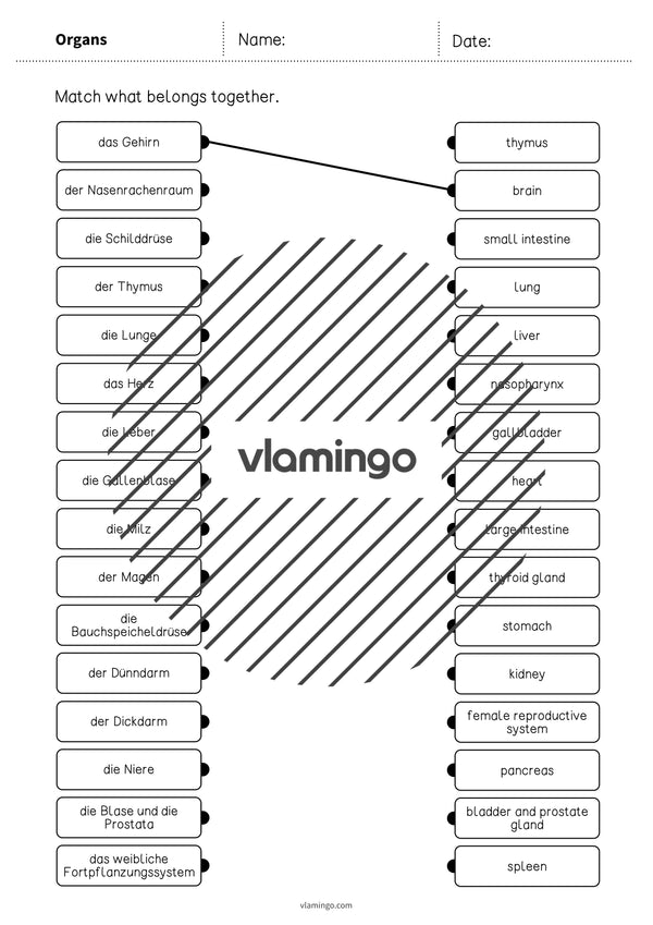 de englisch organs draw the lines 3 003