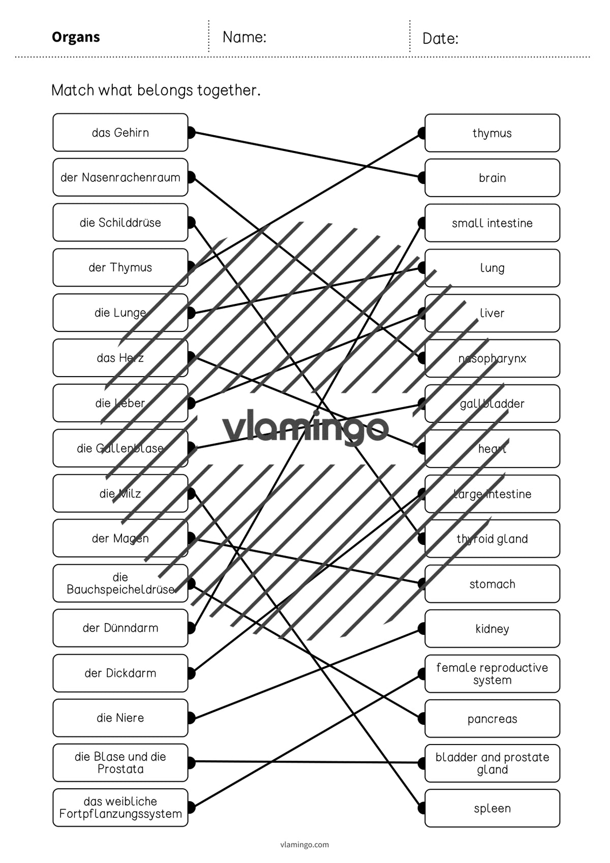 de englisch organs draw the lines 3 005