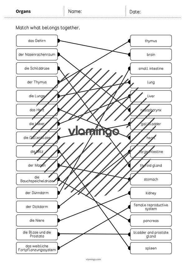 de englisch organs draw the lines 3 005