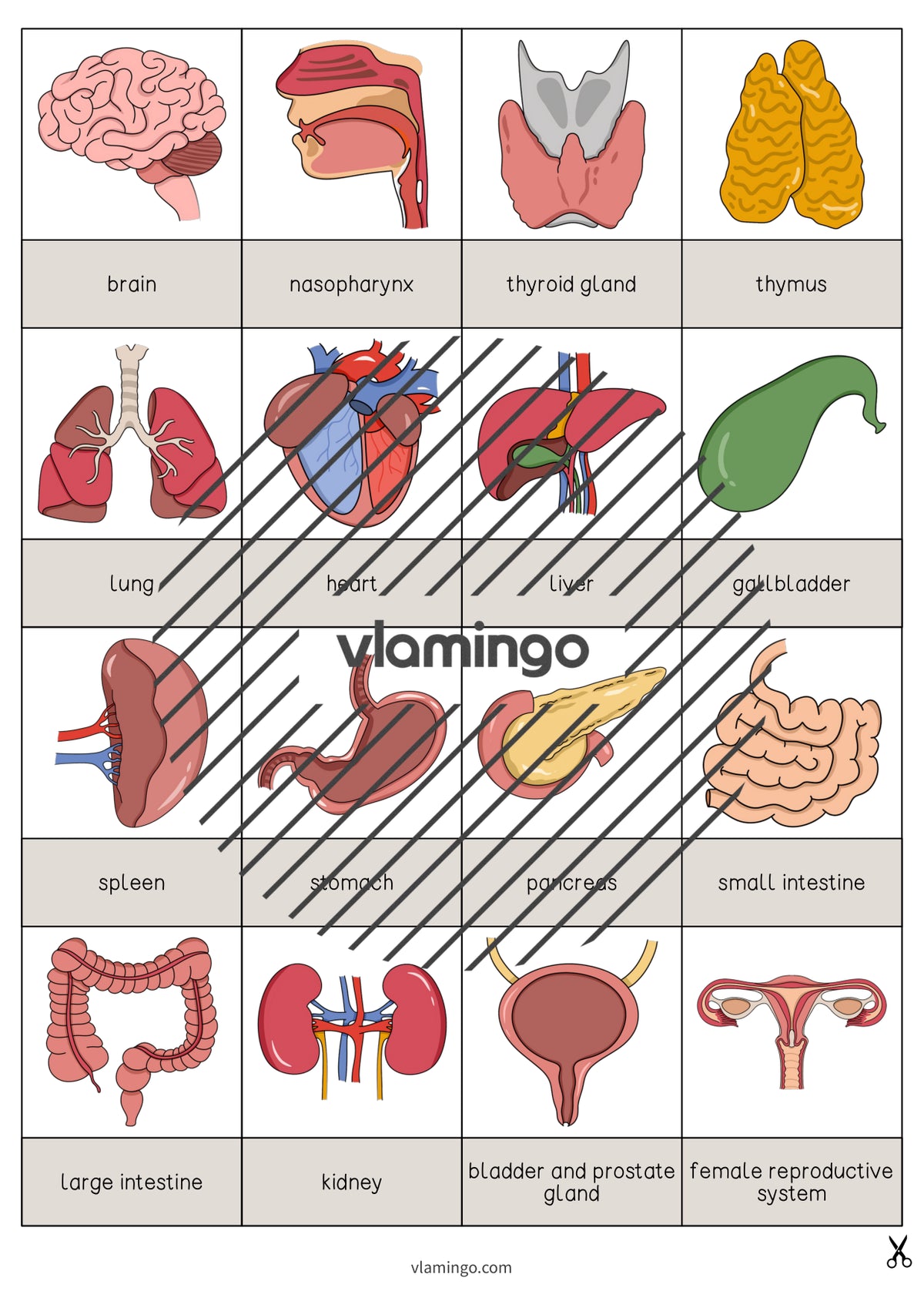 de englisch organs drawing game 003