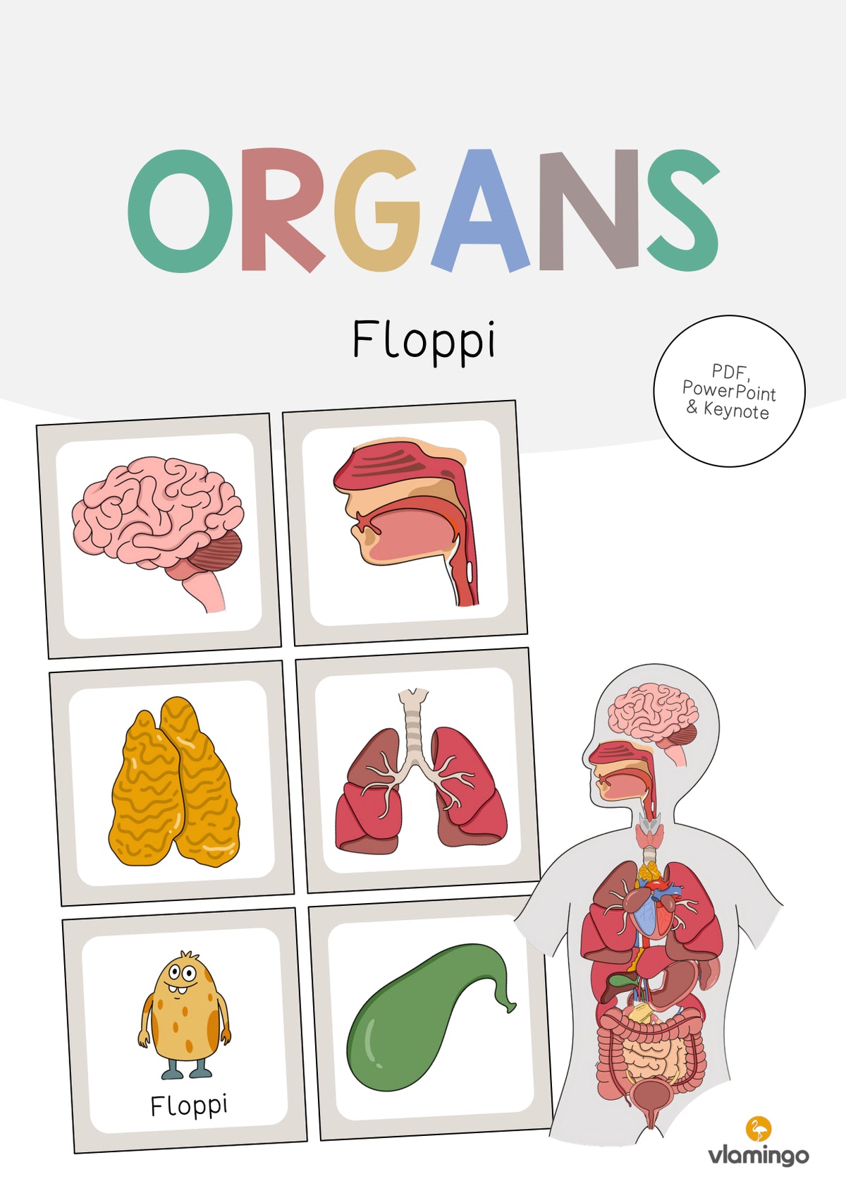 de englisch organs floppi 001