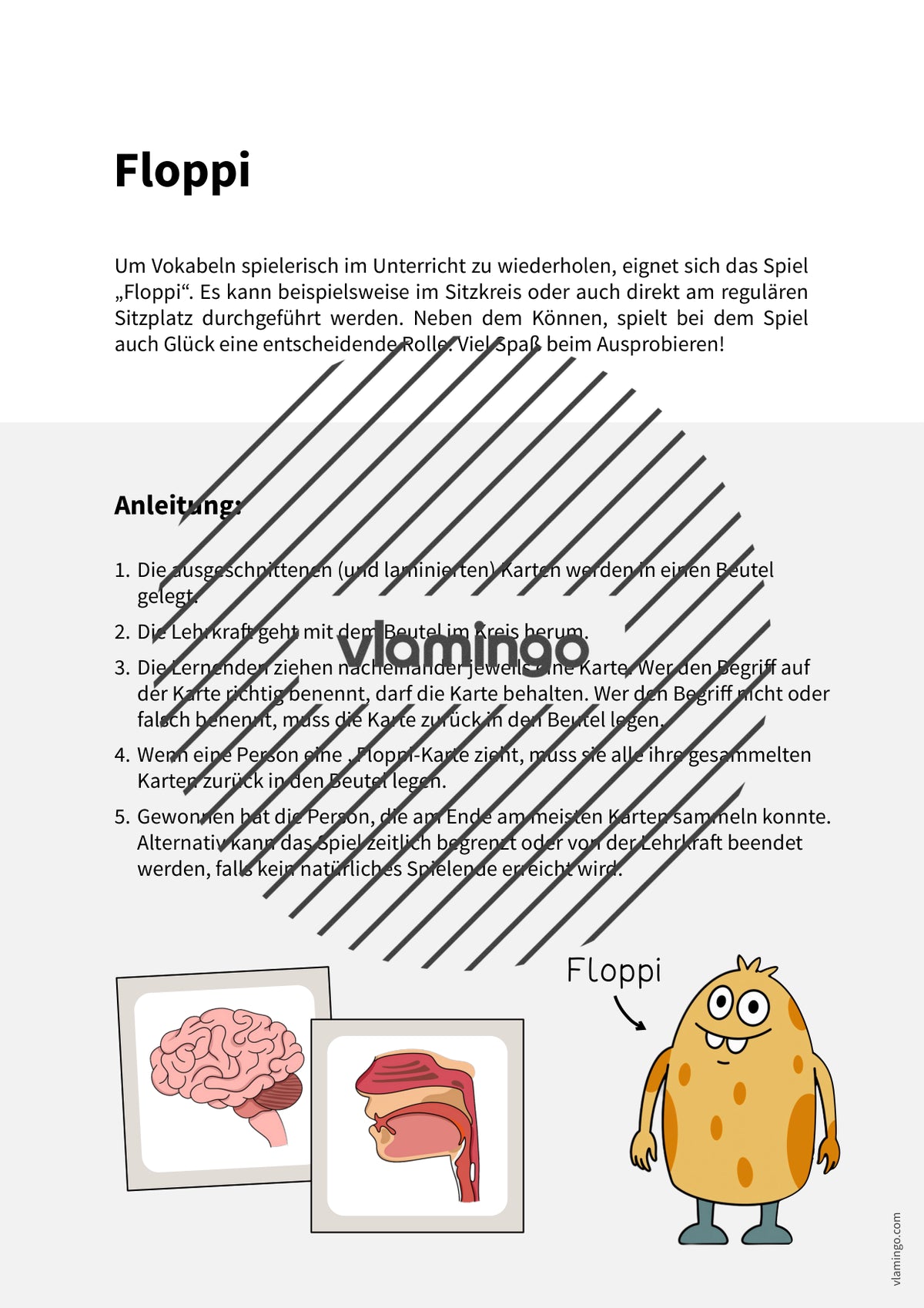 de englisch organs floppi 002