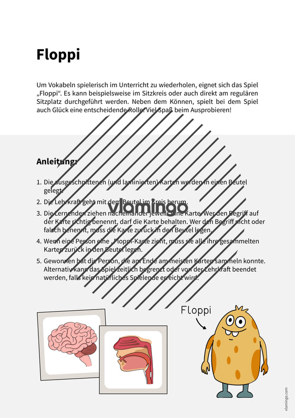 de englisch organs floppi 002