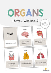 de englisch organs i have who has 001