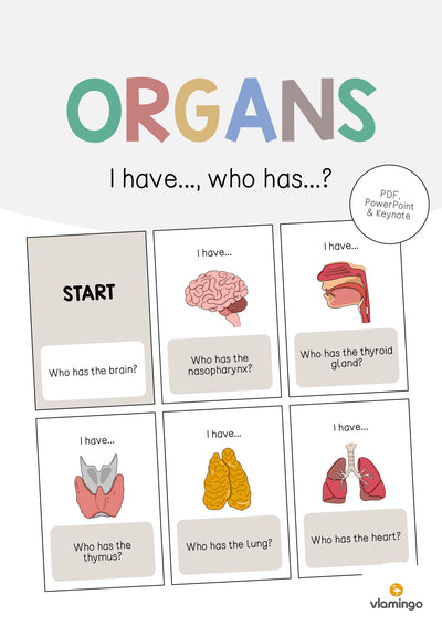 Organs / Organe: I have..., who has...? (Englisch)