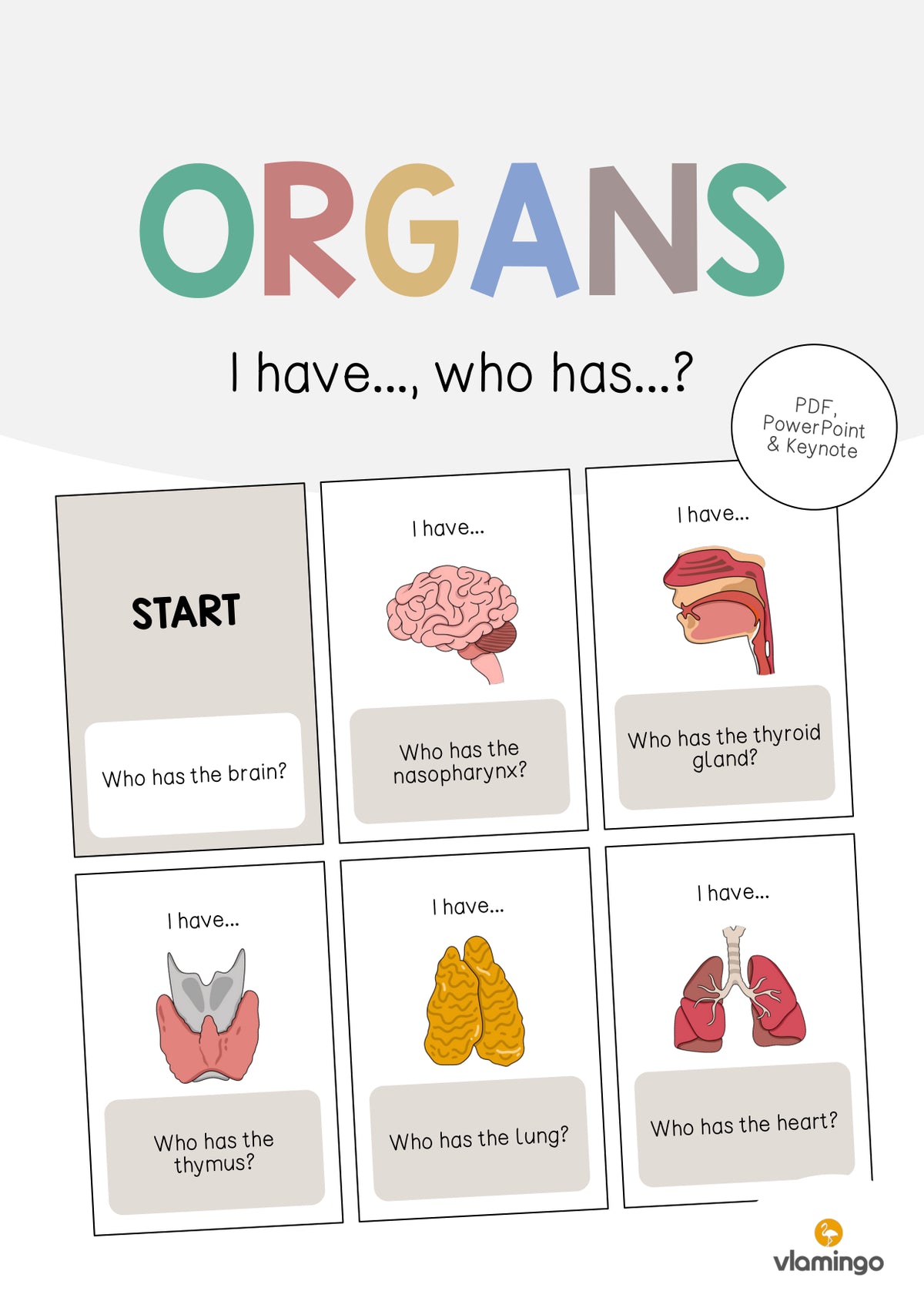 de englisch organs i have who has 001