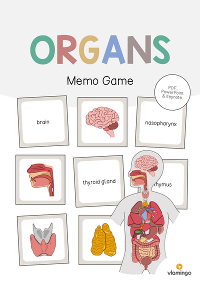 Organs / Organe: Memo Game (Englisch)