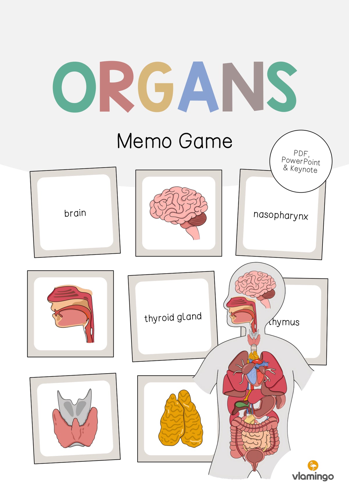de englisch organs memo game 001