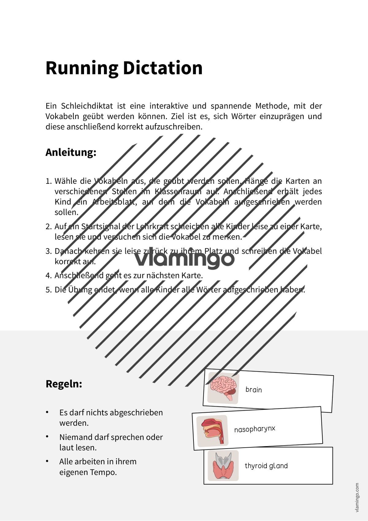 de englisch organs running dictation 002