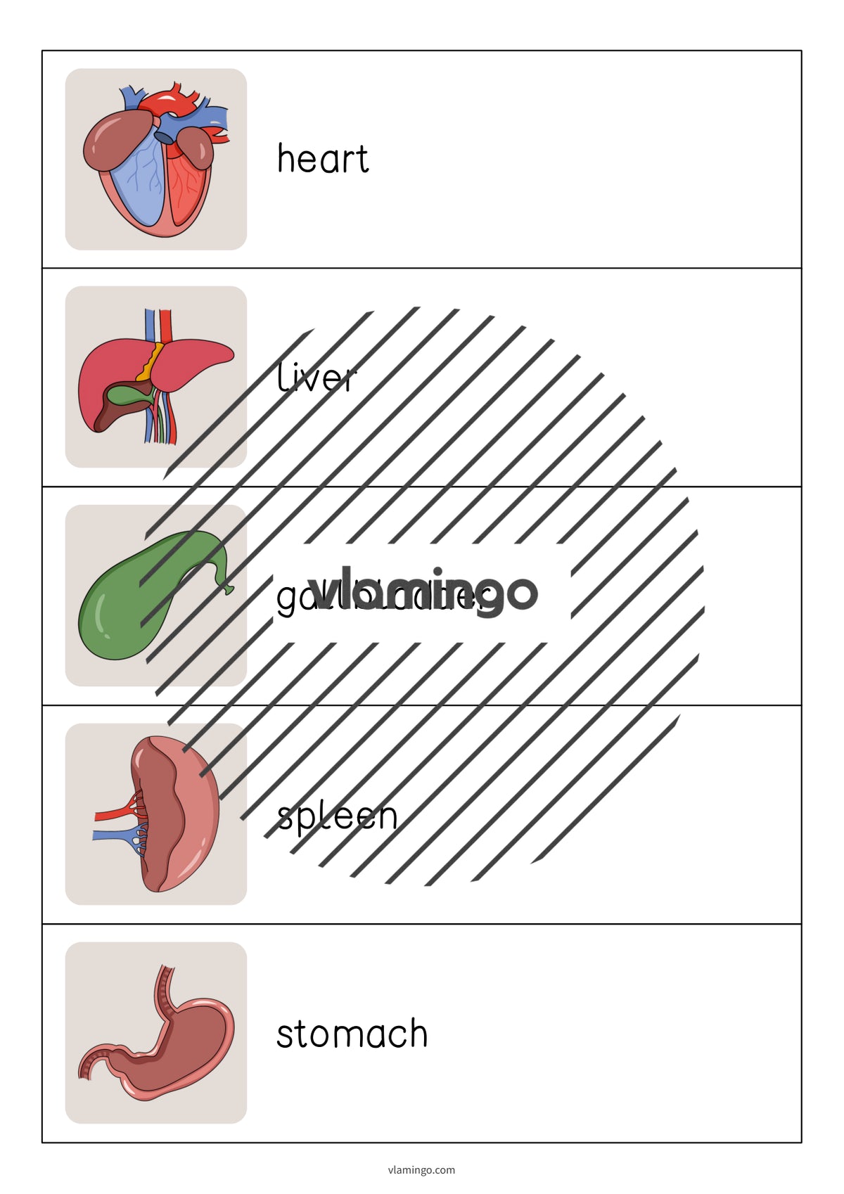 de englisch organs running dictation 004